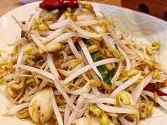 炝炒绿豆芽-丹江渔村(望京店)