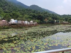 -南丹山森林王国
