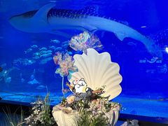 -烟台海昌鲸鲨海洋公园