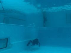 -上海潜殿潜水中心