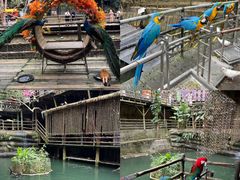 -海南槟榔谷黎苗文化旅游区