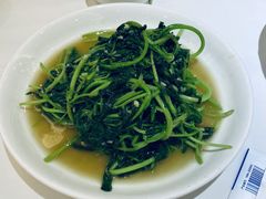 鸡毛菜-金春禧(世茂国际广场店)