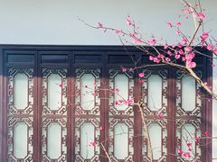 -上海醉白池公园