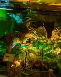 -恐龙探索乐园(磁器口店)