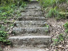 -青龙山国家森林公园