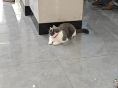 -贝利宠物医院·骨科·眼科·肿瘤转诊中心(南坪诊疗中心)