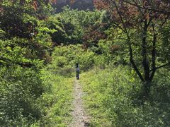 -青龙山生态文化旅游区(慈云寺)