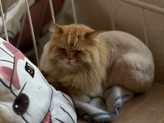 -小时光咖啡馆(开森度假森林店)