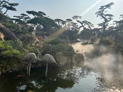 -罗红摄影艺术馆