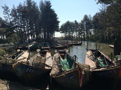 -农垦当壁镇兴凯湖旅游度假区