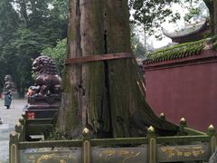 -峨眉山报国寺