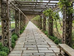 -北京张裕爱斐堡酒庄