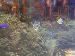 -沈阳海洋探索中心