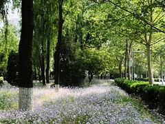 -东升八家郊野公园