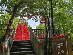 -帽儿山国家森林公园