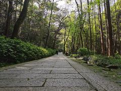 -宋宴(虎跑店)
