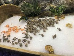 -圣琼美食百汇自助餐厅(福安购物广场店)