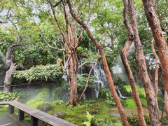 -Chom Cafe and Restaurant