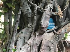 -龙达温泉生态城