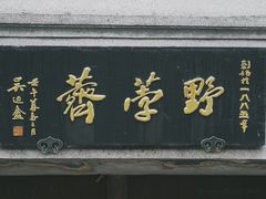 -野荸荠