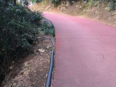 -敬亭山风景名胜区