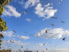 -海埂大坝