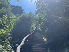 -秦岭终南山世界地质公园翠华山景区