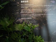 -思南公馆