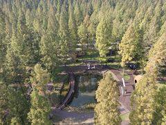 -黄海国家森林公园