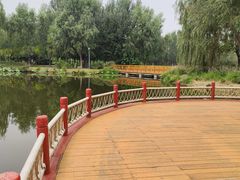 -东郊湿地公园