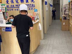 -爱佳宠物中心医院24H·CT·骨外科·猫专科(瑶海万达店)