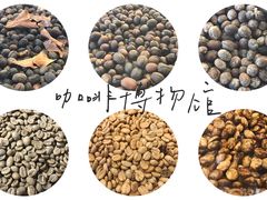 -MUSEO COFFEE咖啡博物馆