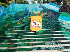 -西双版纳原始森林公园