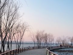 -绿堤公园