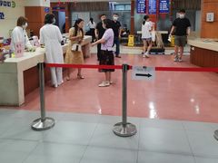 -上海市东方医院(总院)
