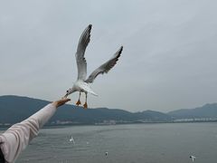 -海埂大坝
