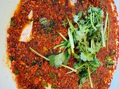 -胖大姐黄辣丁鱼庄(新津店)