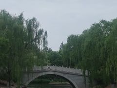 -大兴滨河森林公园