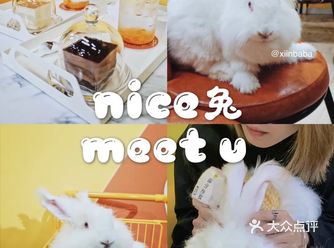 遇见萌宠 | 一起来撸兔兔吧！！！