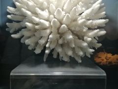-天津自然博物馆