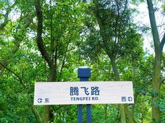 -神光山国家森林公园