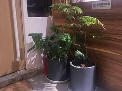 -琥珀咖啡 Ambercoffee
