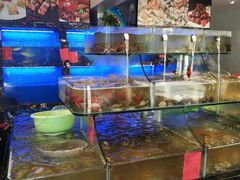 水产区-友强·23年特色海鲜大排档(厦门店)