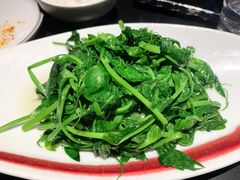 清炒豌豆尖-麻六记(凤凰汇店)