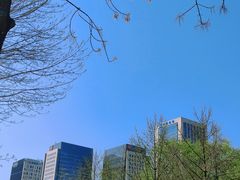 -元大都城垣遗址公园