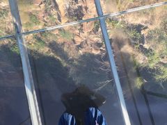 -磐安舞龙峡景区