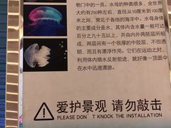 -乐汇城