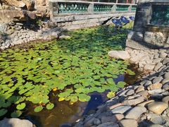 -顺峰山公园