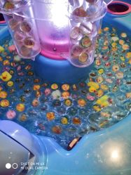 -幻贝家儿童乐园(苏州中心店)