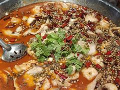 -大秦面庄(青松路店)